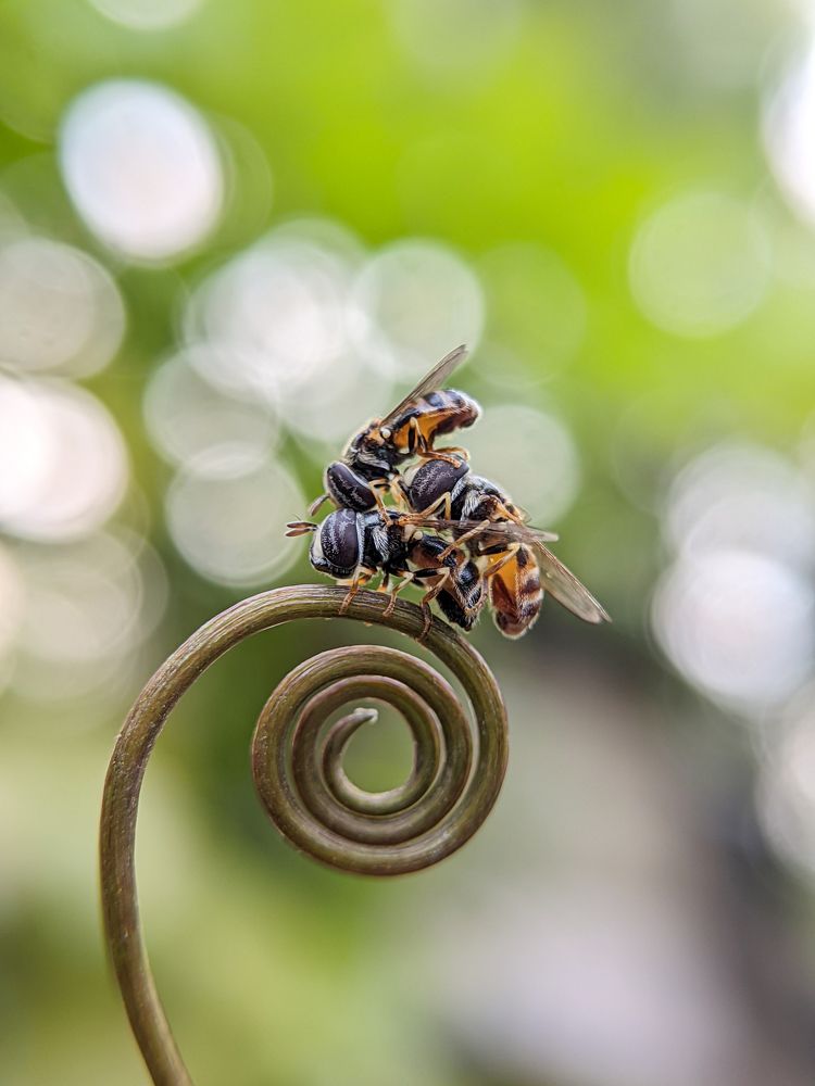 Photograph by Ajeesh A