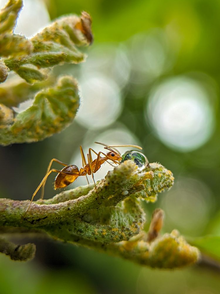 Photograph by Ajeesh A