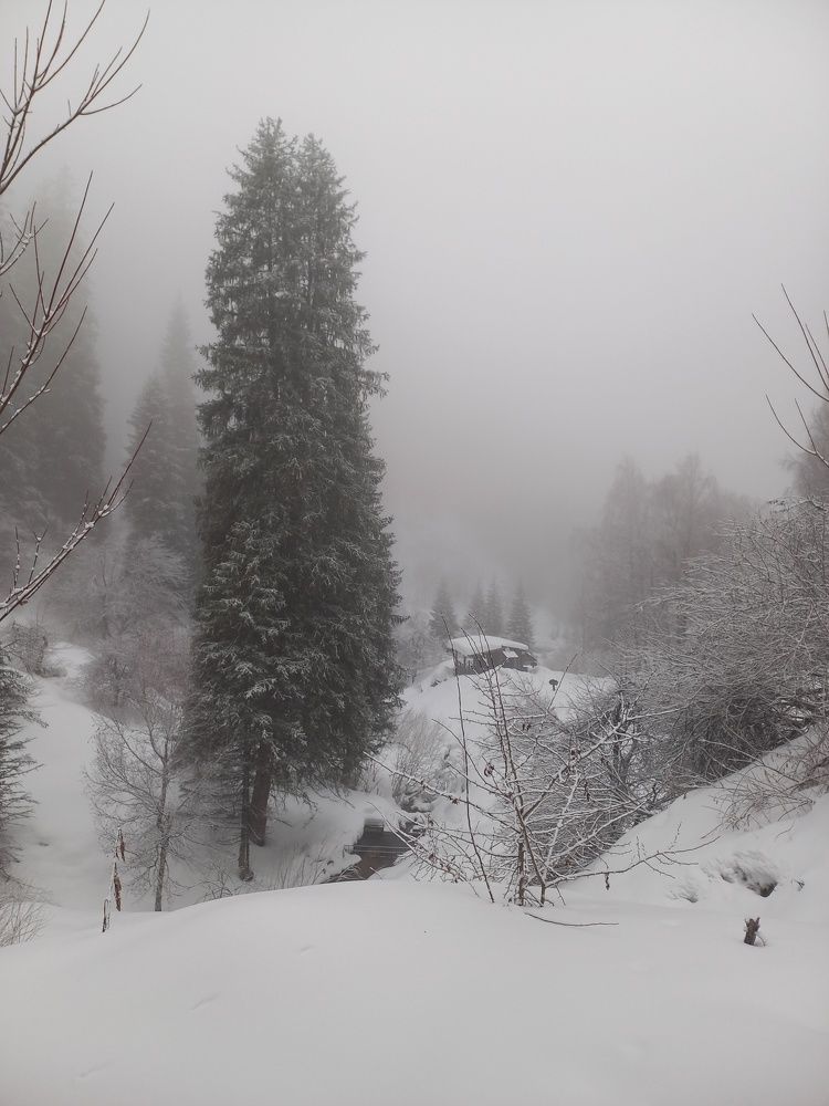 Photo #9159581