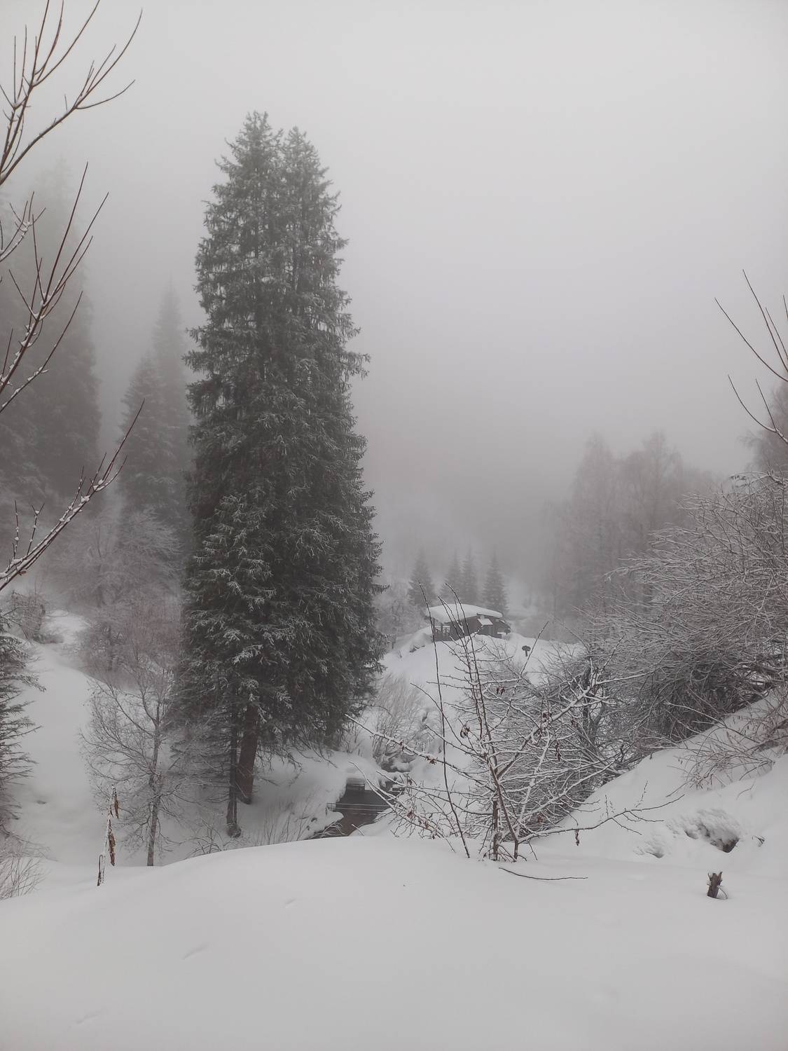 Photo #9159581