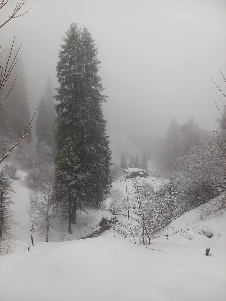 Photograph by Saltanat