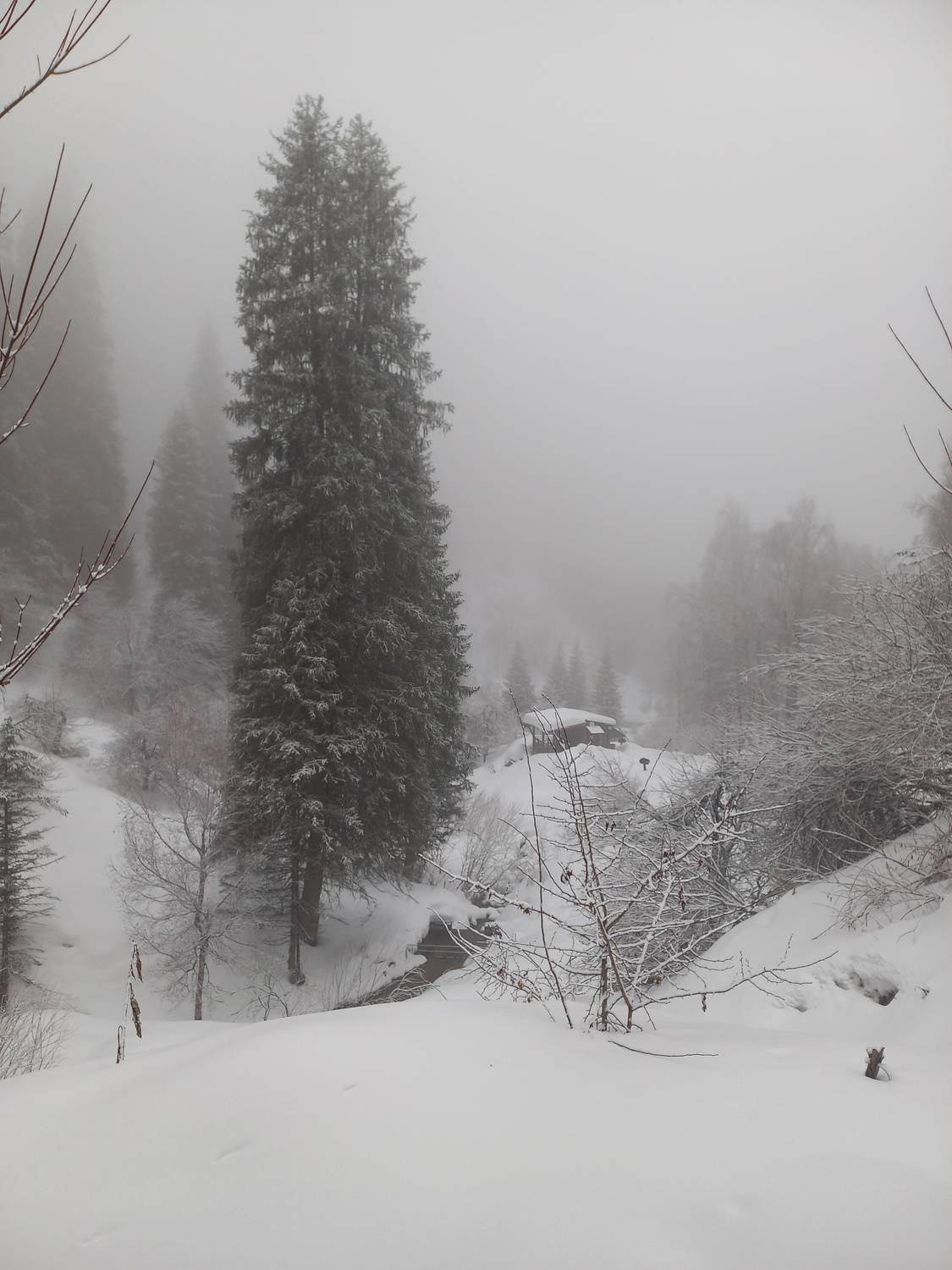 Photo #9159582