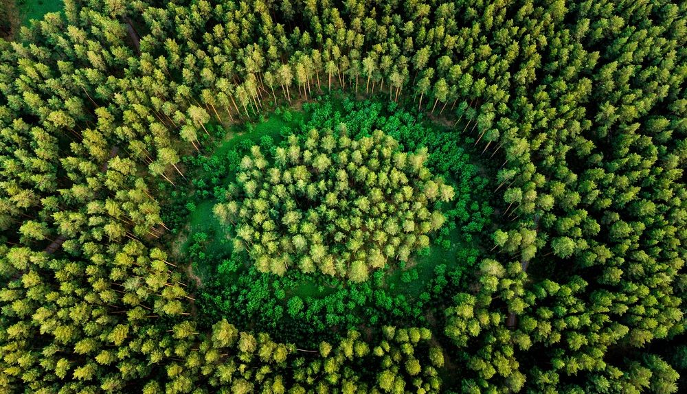 Фотография автора Михаил Кузнецов