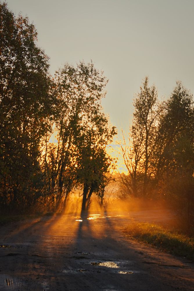 Photograph by Татьяна Гринько