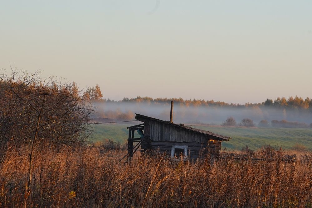 Photograph by Татьяна Гринько