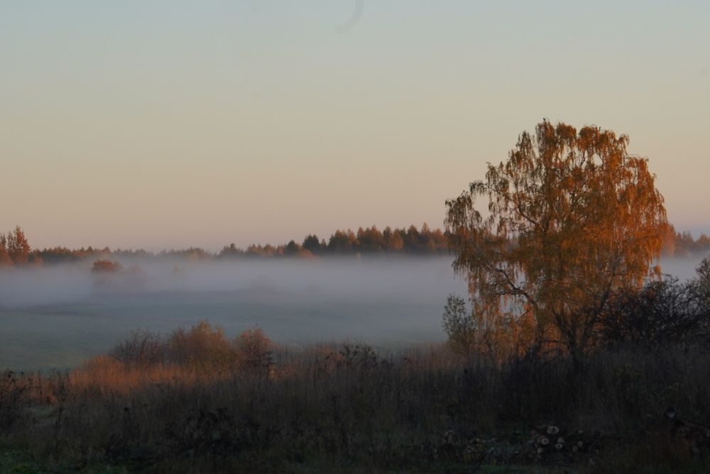 Photograph by T.Ю. Гринько