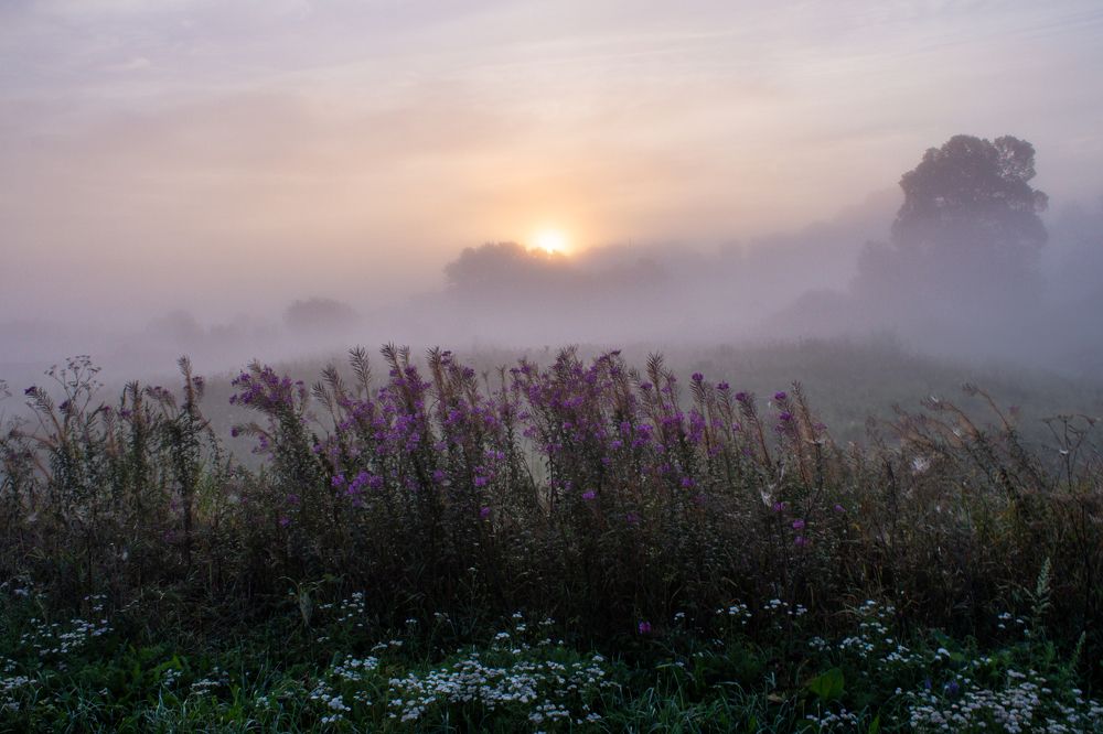 Photograph by Владислав Якуничев