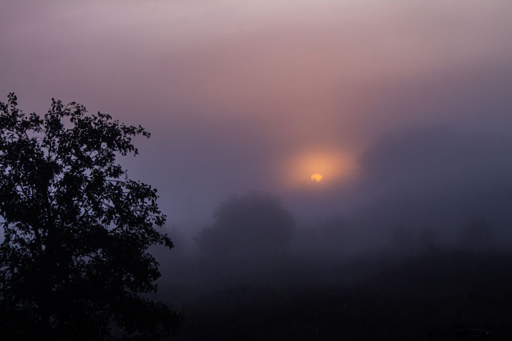 Photograph by Владислав Якуничев