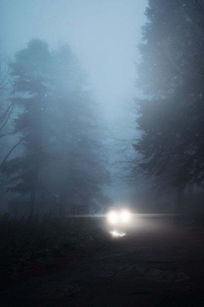 Photograph by Aleksandr Veideman