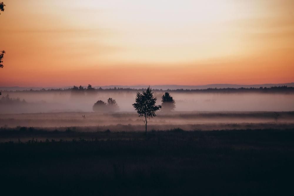 Photograph by Богдан Гаврилюк