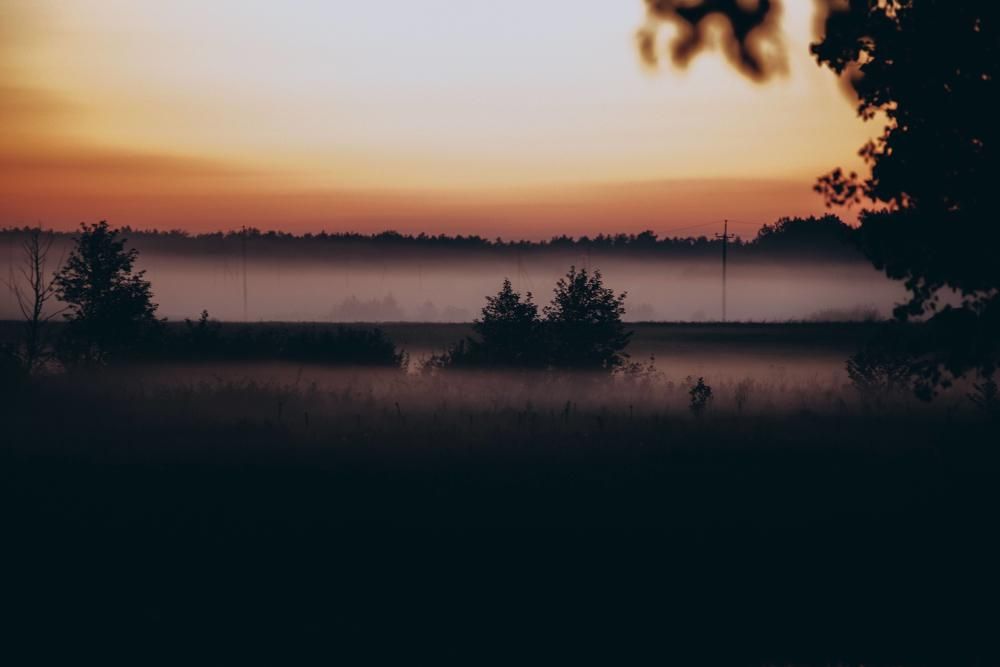 Photograph by Богдан Гаврилюк