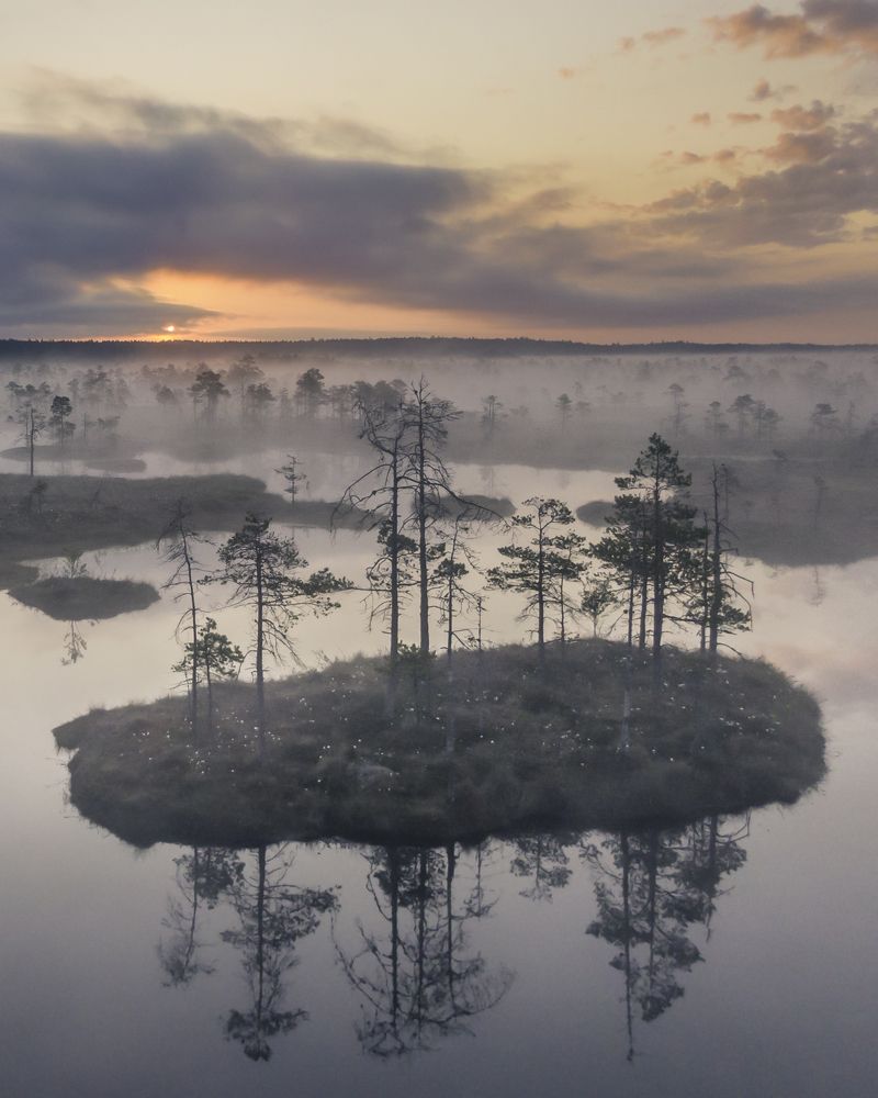 Photograph by Nikolai Mordan