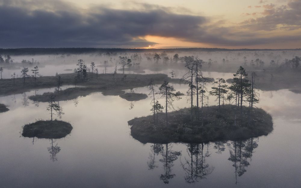 Photograph by Nikolai Mordan