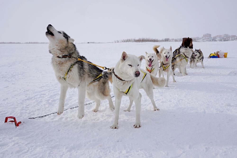 Photograph by Станислав Котляров