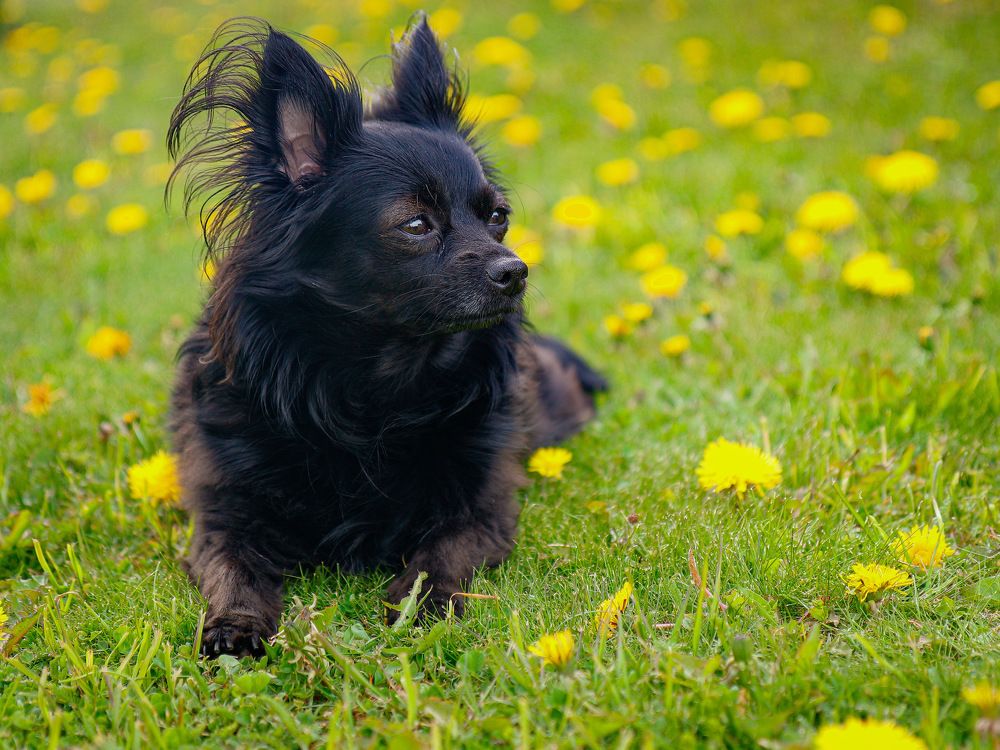 Photograph by Екатерина Слепнева