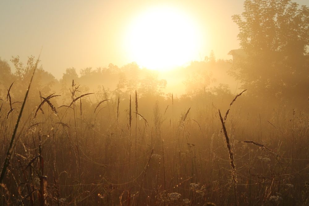 Photograph by Матвей Короткин