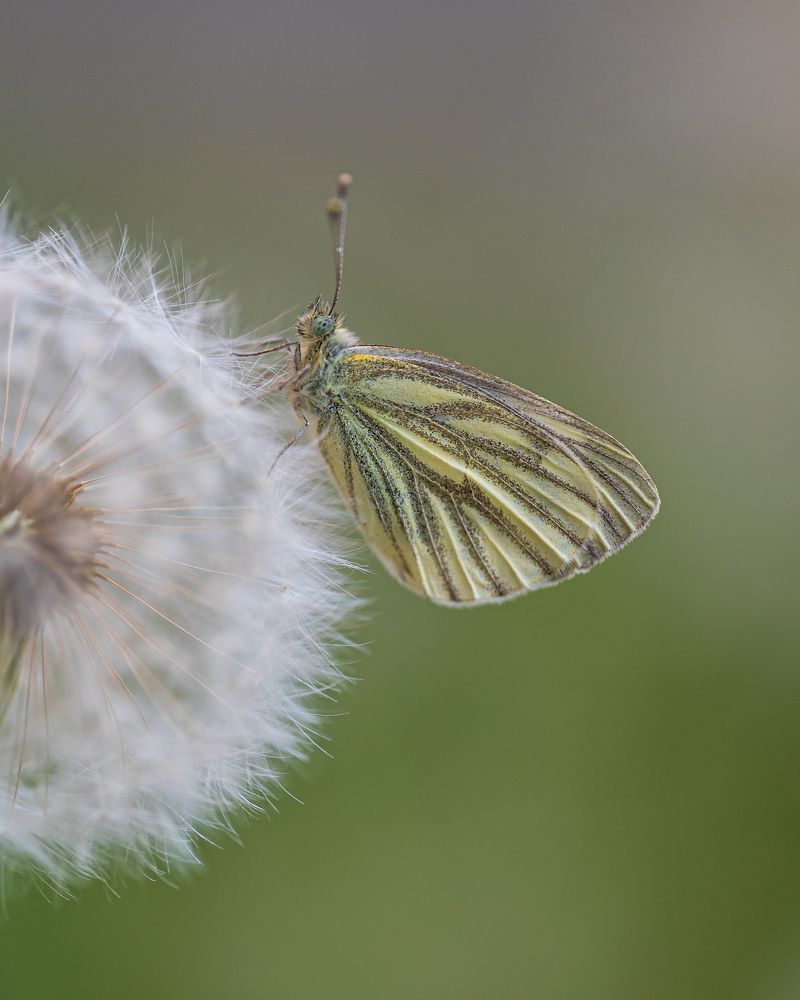 Photograph by Алексей и Юлия Дарьины