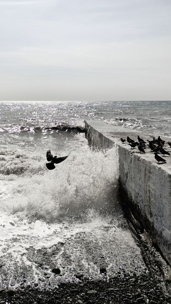 Photograph by Татьяна Штунь