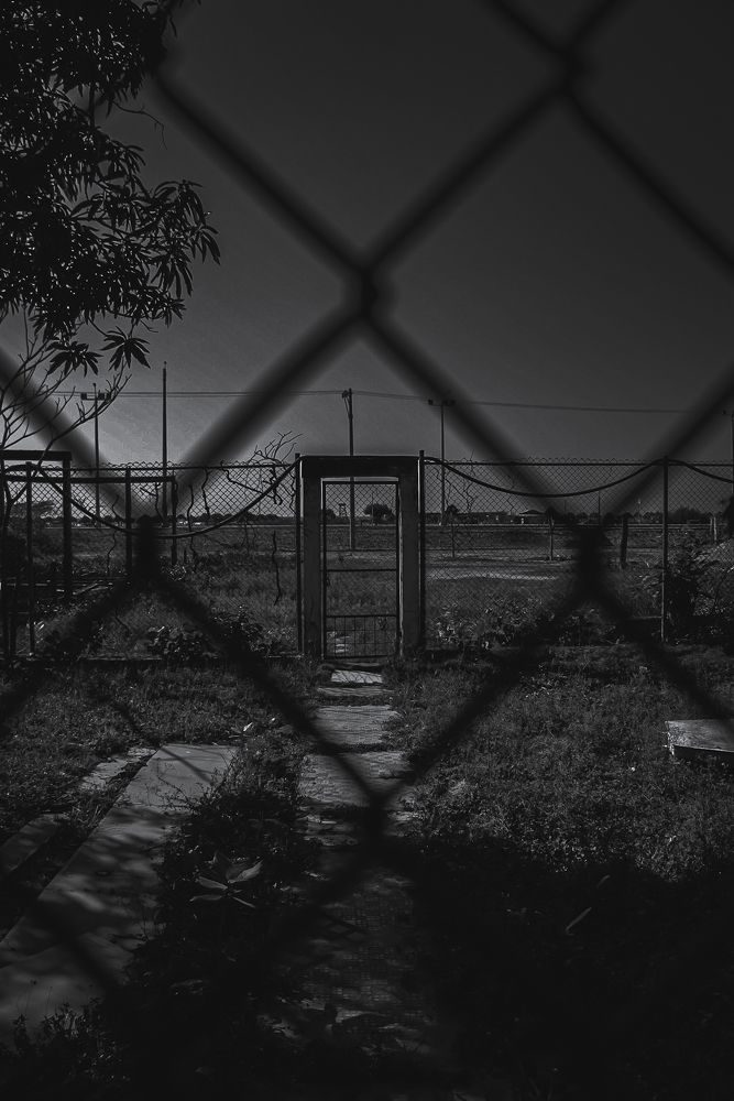 Photograph by Carlos Batista