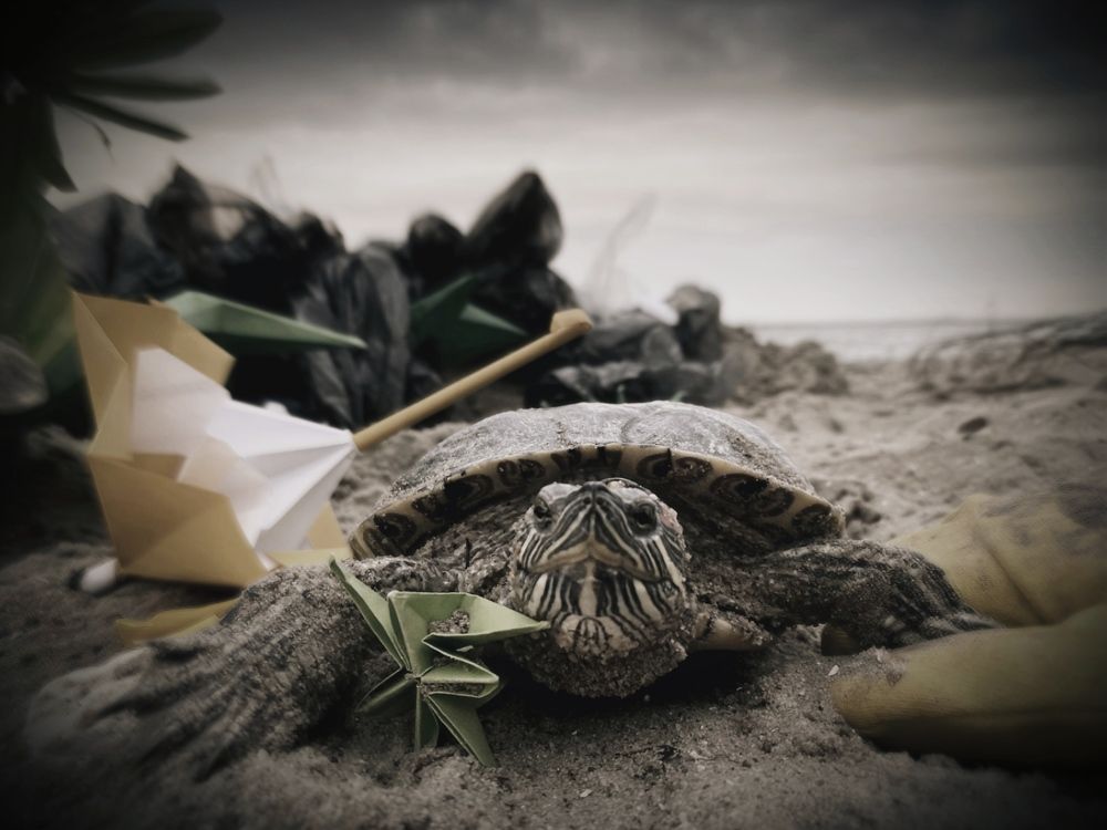 Photograph by Лена Виговская