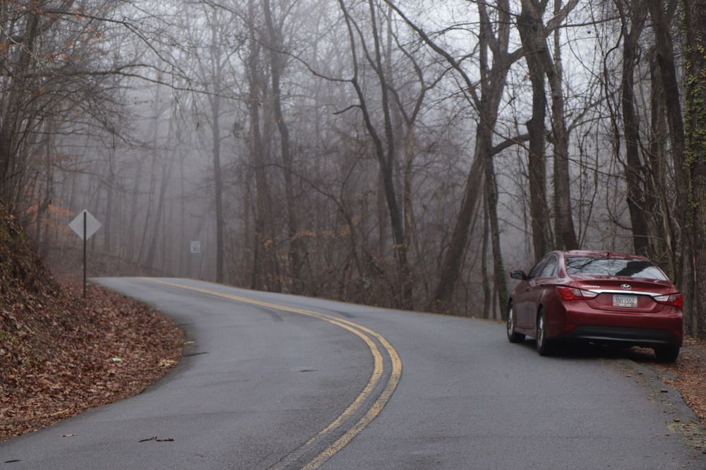 Photograph by Elena Shliachkova