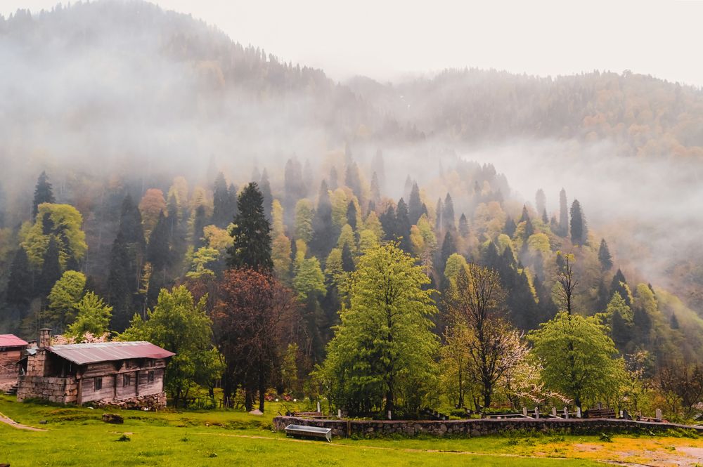 Photograph by Abdullah Al Battah