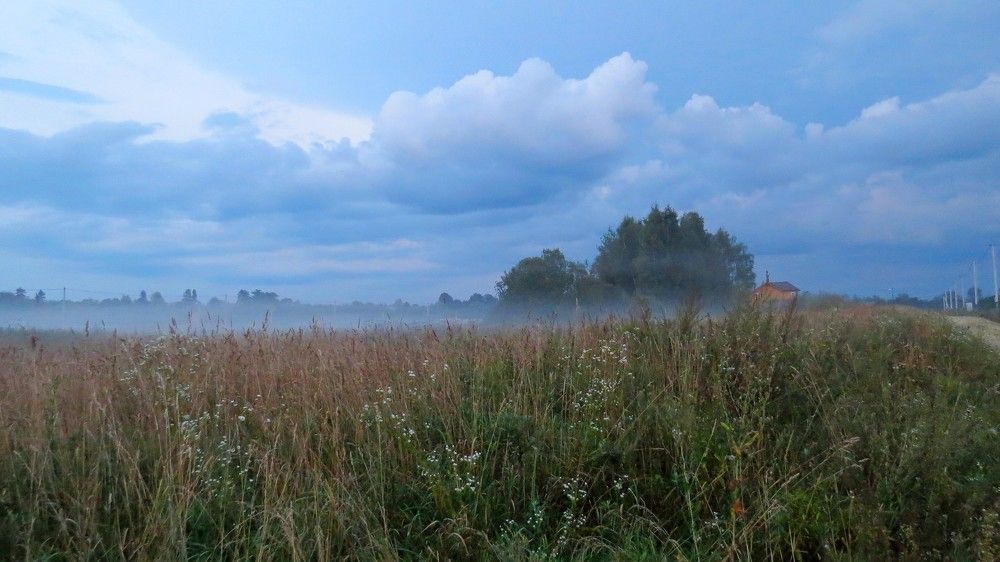 Photograph by Елена Казарина