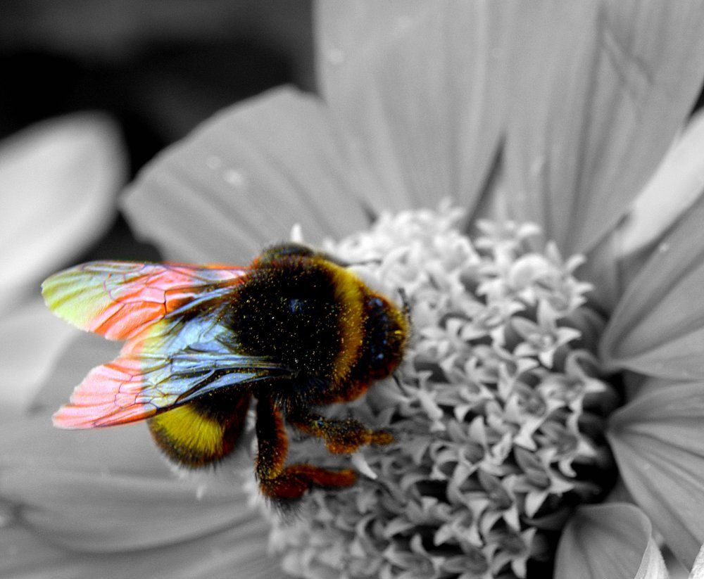 Photograph by Burak Ali Doğu