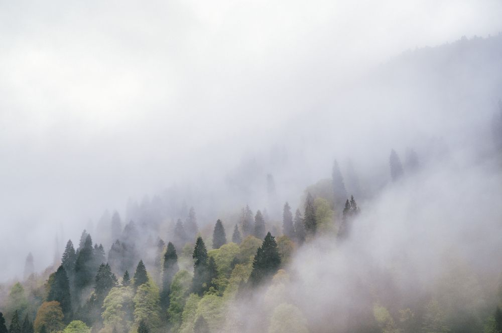 Photograph by Abdullah Al Battah