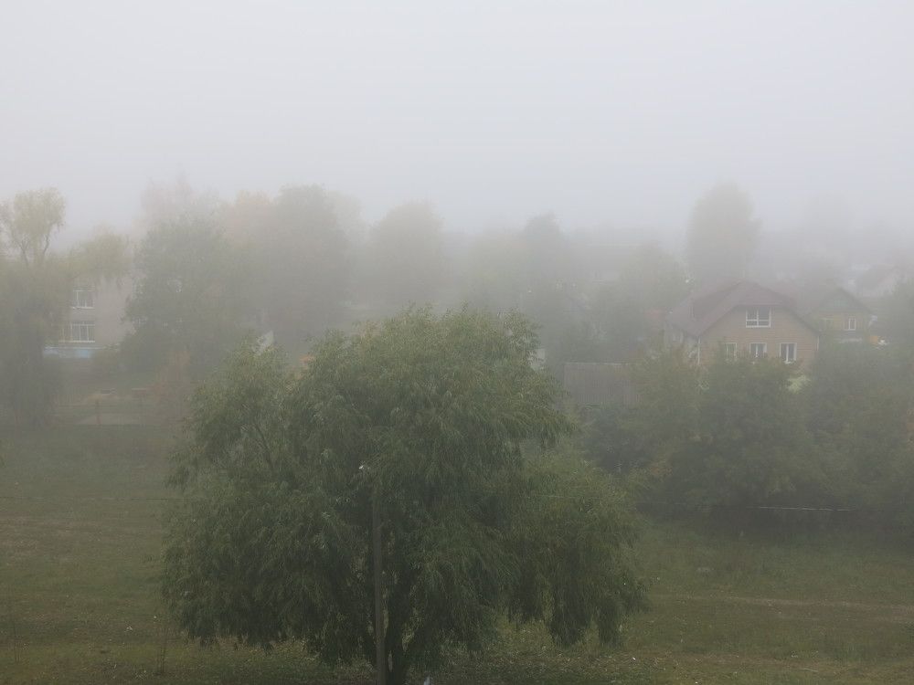 Photograph by ЭЛЬМИРА  ИСМАИЛОВА