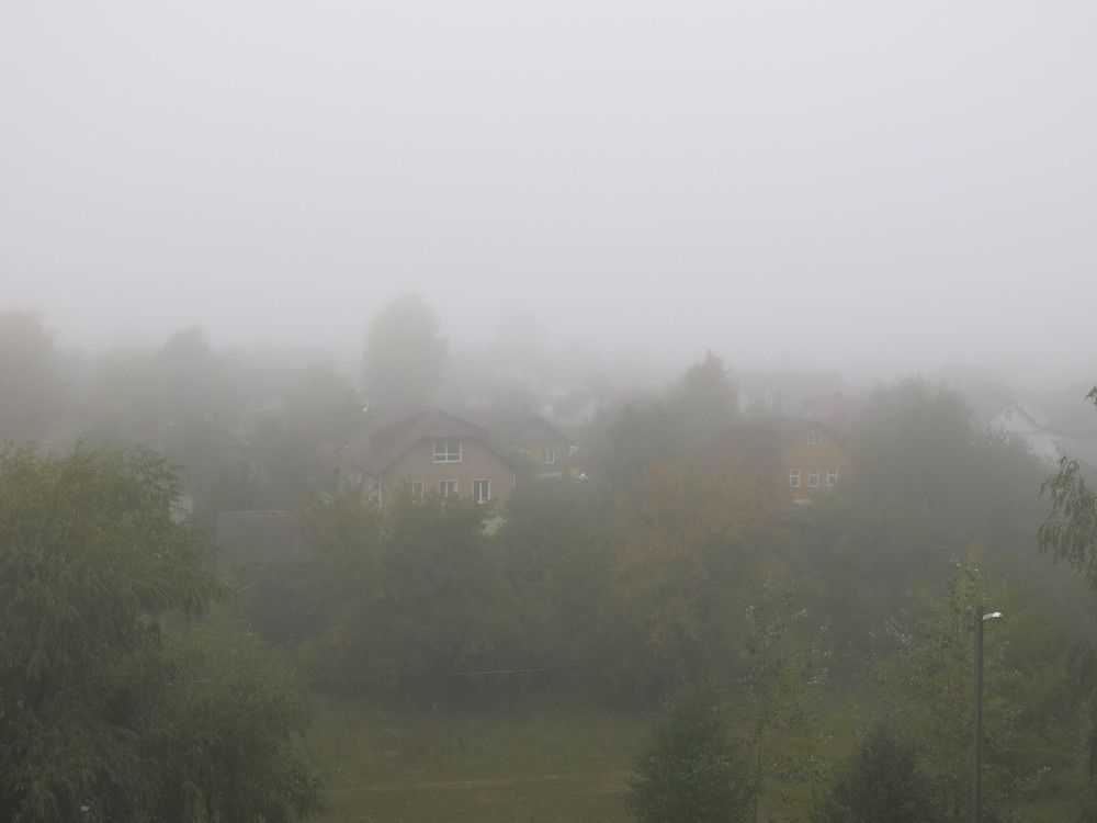 Photograph by ЭЛЬМИРА  ИСМАИЛОВА