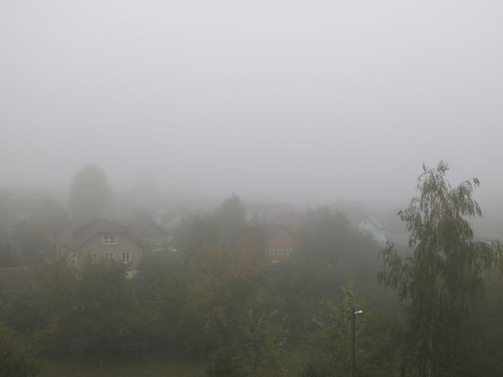 Photograph by ЭЛЬМИРА  ИСМАИЛОВА