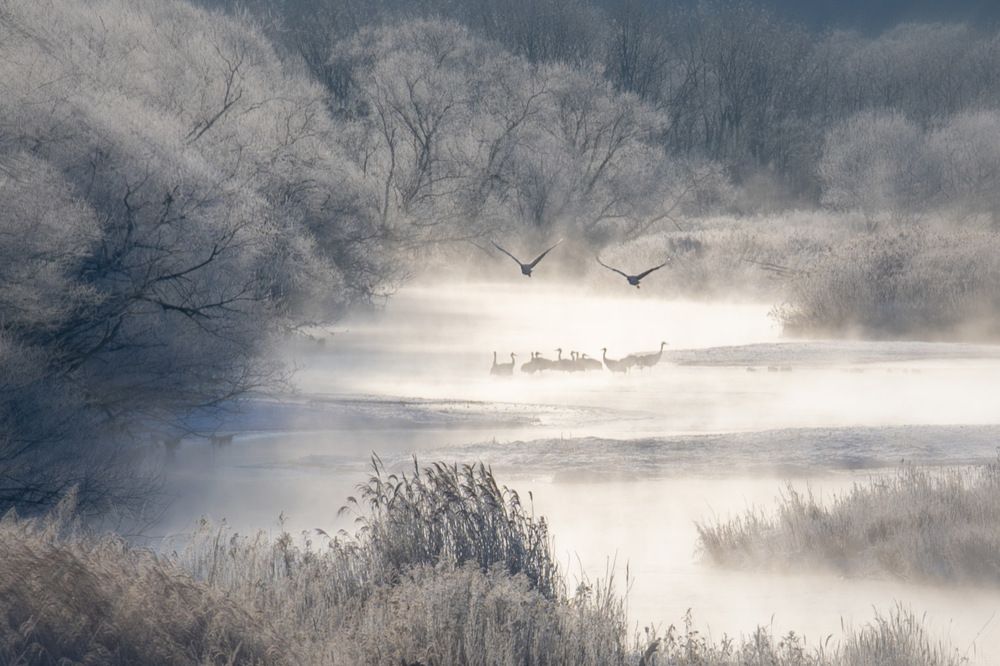 Photograph by Long Phùng Minh