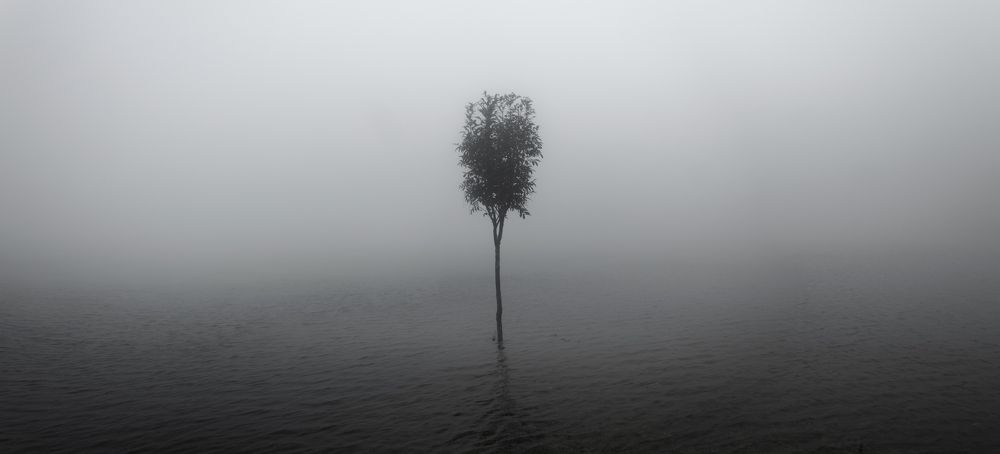 Фотография автора Devanand K S