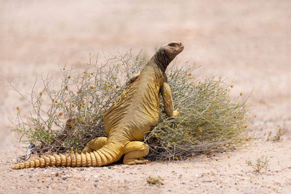 Photograph by Vladimir Kulikov