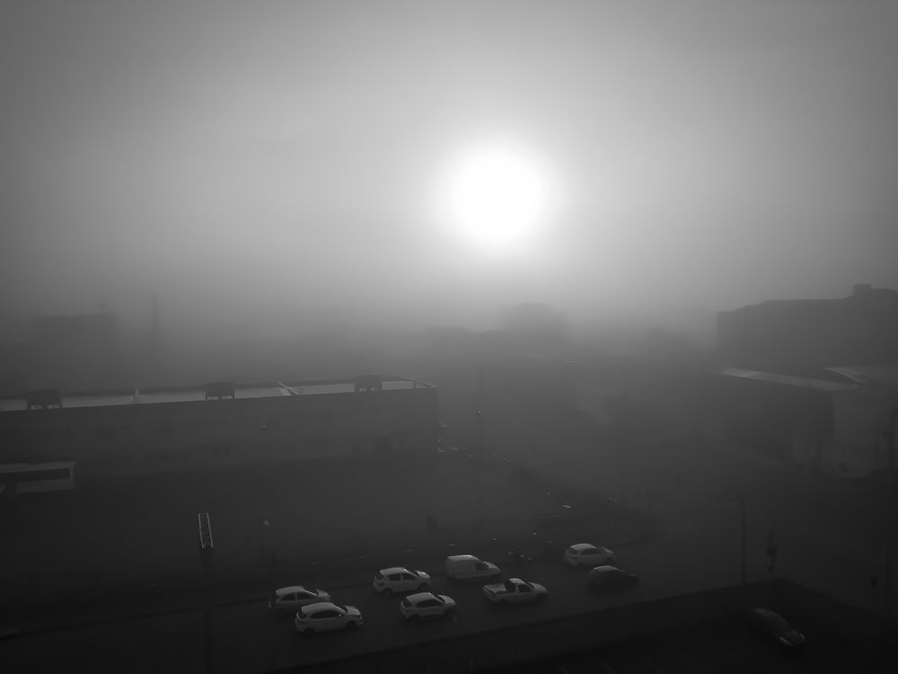 Photograph by Álvaro Bertoni Sanguinetti