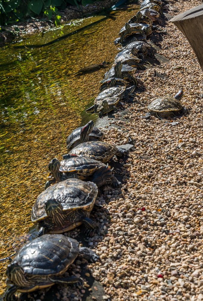 Photograph by Владимир Брагилевский