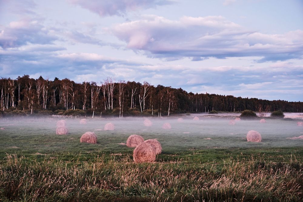 Фотография автора Владимир Эделев