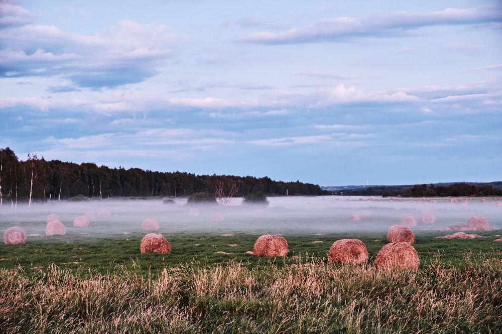 Фотография автора Владимир Эделев