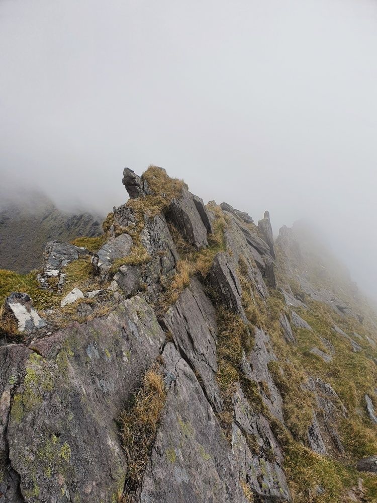 Photograph by Aleksandra Li