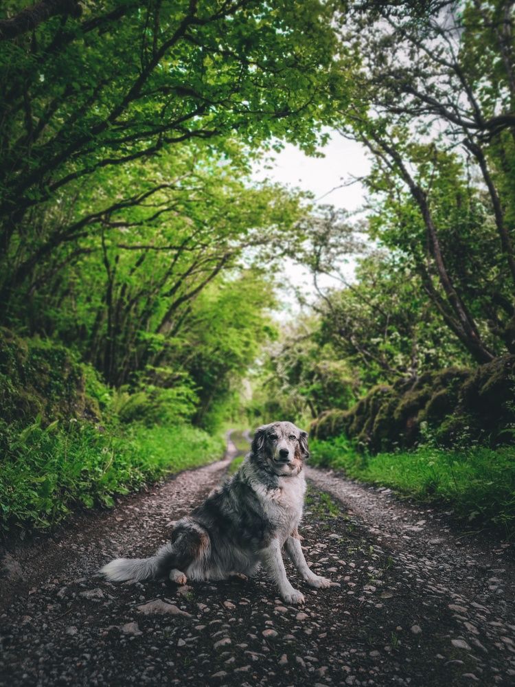 Photograph by Aleksandra Li