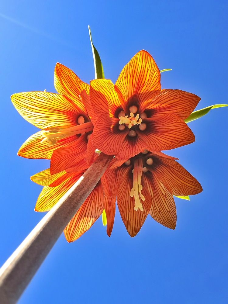 Photograph by Татьяна Соколовская