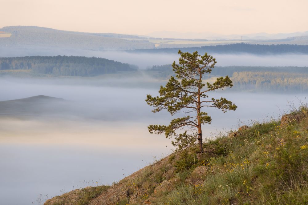 Photograph by Таипов Ильгиз