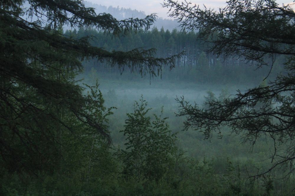 Фотография автора Пешков Егор