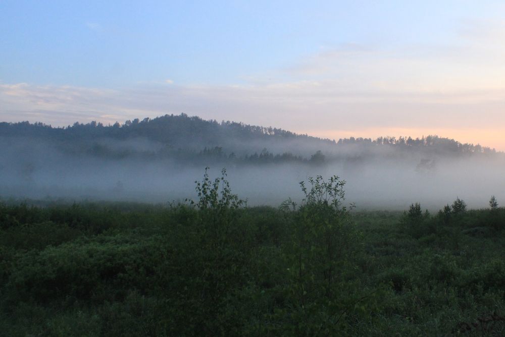 Фотография автора Пешков Егор