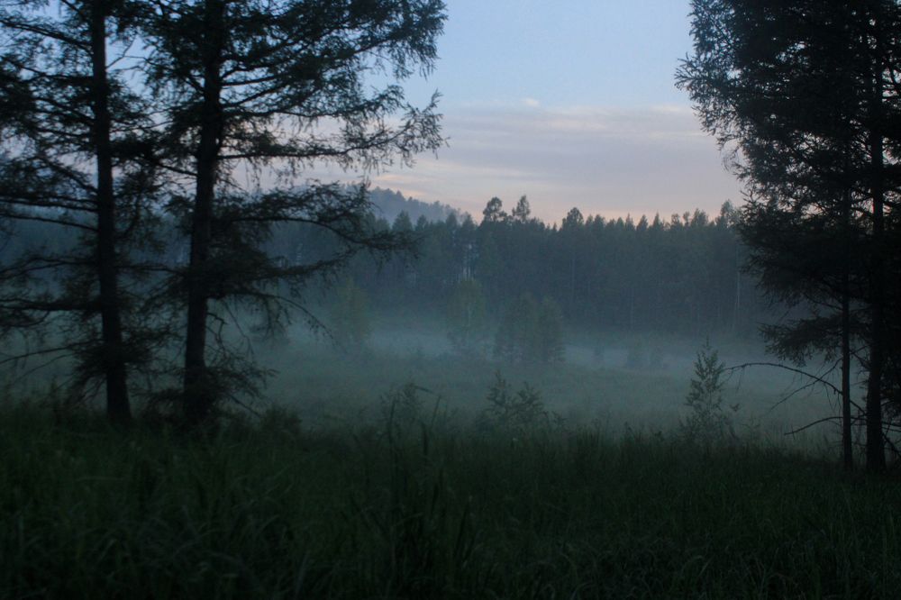 Фотография автора Пешков Егор