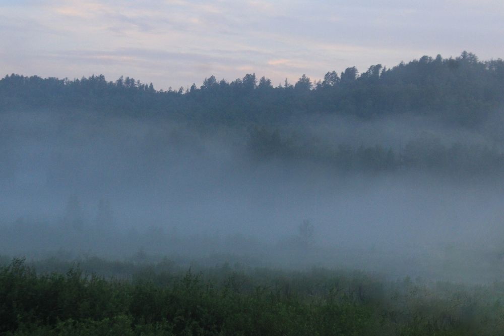 Фотография автора Пешков Егор