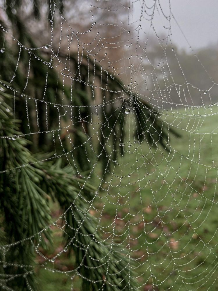 Photograph by Zinaida Sassarini