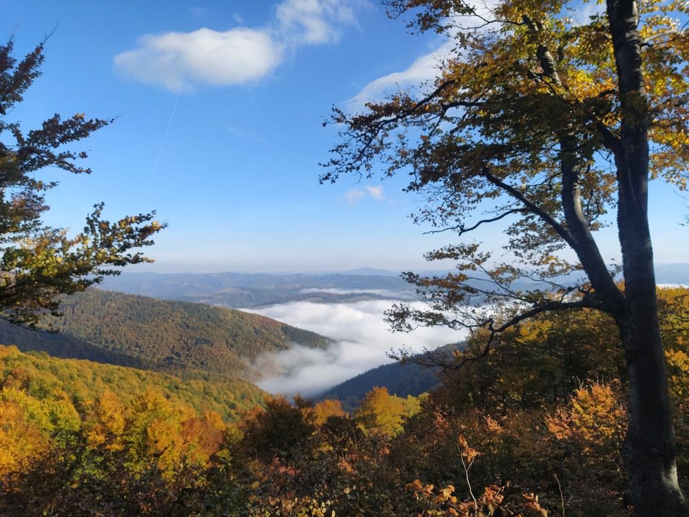 Photograph by Oleksandr Hrudetskyi