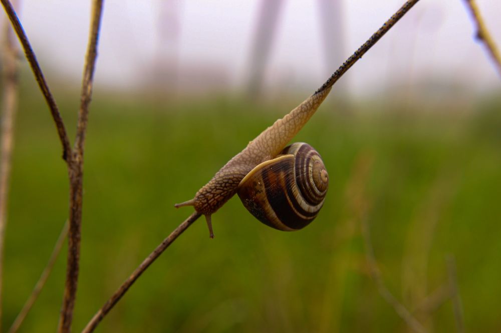 Photograph by Ирина Дмитриенко